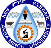 aribaminch university